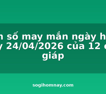 con-so-may-man-ngay-hom-nay-24042026-cua-12-con-giap