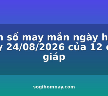con-so-may-man-ngay-hom-nay-24082026-cua-12-con-giap