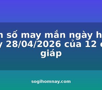 con-so-may-man-ngay-hom-nay-28042026-cua-12-con-giap