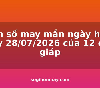 con-so-may-man-ngay-hom-nay-28072026-cua-12-con-giap