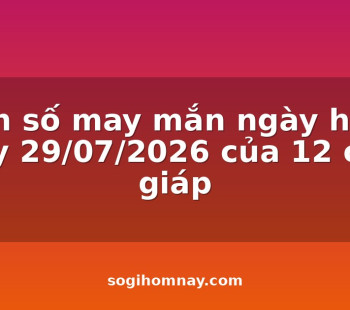 con-so-may-man-ngay-hom-nay-29072026-cua-12-con-giap