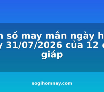 con-so-may-man-ngay-hom-nay-31072026-cua-12-con-giap