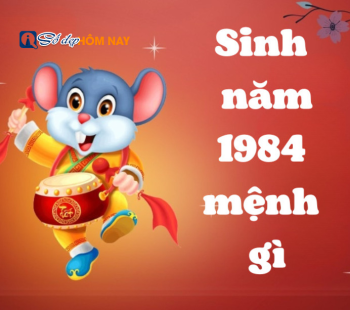sinh-nam-1984-menh-gi