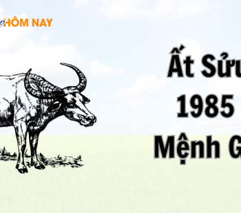 sinh-nam-1985-menh-gi