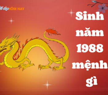 sinh-nam-1988-menh-gi