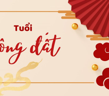 xem-tuoi-xong-nha-xong-dat-nam-2025-at-ty