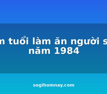 xem-tuoi-lam-an-nguoi-sinh-nam-1984