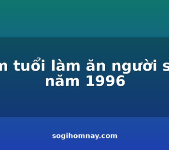 xem-tuoi-lam-an-nguoi-sinh-nam-1996