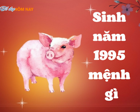 sinh-1995-menh-gi