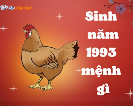 sinh-nam-1993-la-menh-gi