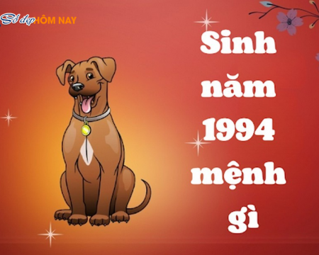 sinh-nam-1994-menh-gi