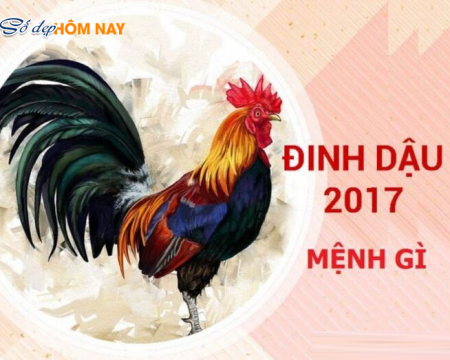 sinh-nam-2017-menh-gi