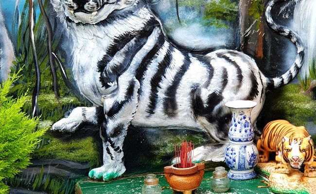 Bạch Hổ xuyên sảnh là gì? Chớ nên chủ quan với sát khí khiến gia đạo suy tàn, hao tổn phúc đức