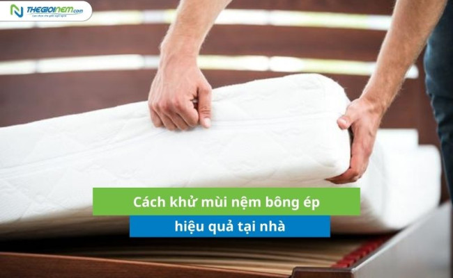 Cách khử mùi nệm bông ép tại nhà hiệu quả, đơn giản cho mọi gia đình