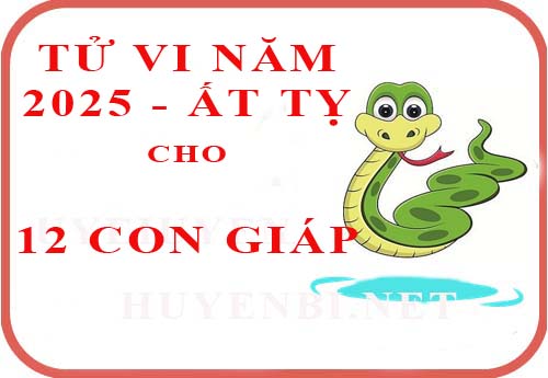 Luận giải tử vi năm 2025 Ất Tỵ cho 12 con giáp chi tiết nhất