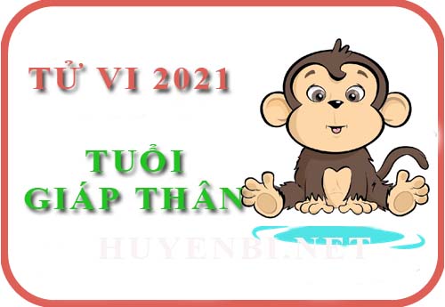 Luận tử vi năm 2021 tuổi Giáp Thân 2004 nam, nữ mệnh