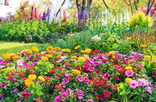 May mắn thay đổi! Ba con giáp đã xoay chuyển vận mệnh của họ