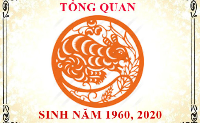 Sinh năm 1960 mệnh gì, tuổi gì và hợp màu gì?