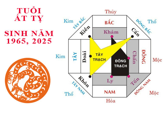 Sinh năm 1965 Ất Tỵ hợp hướng nào?
