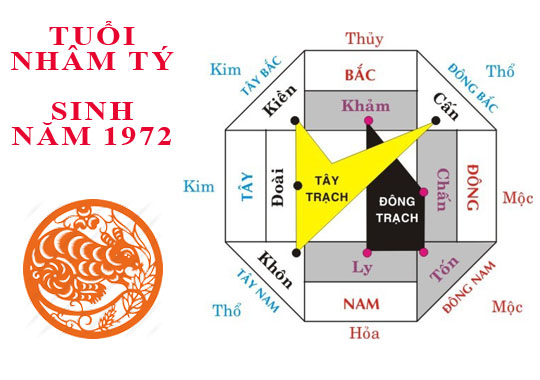 Sinh năm 1972 Nhâm Tý hợp hướng nào?