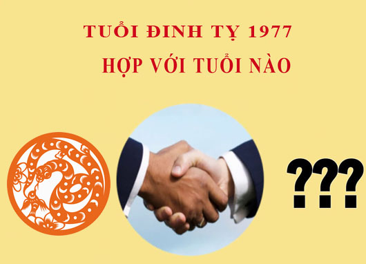 Sinh năm 1977 Đinh Tỵ hợp với tuổi nào?