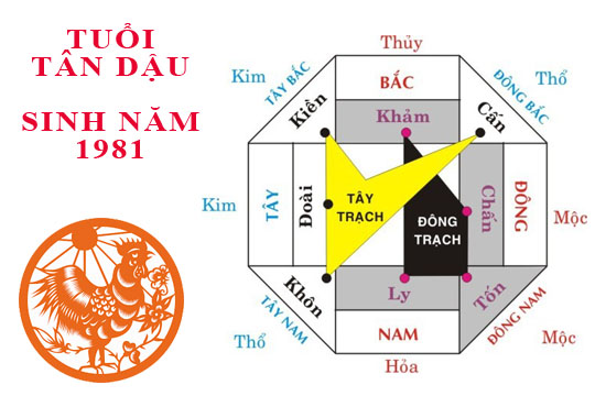 Sinh năm 1981 Tân Dậu hợp hướng nào?