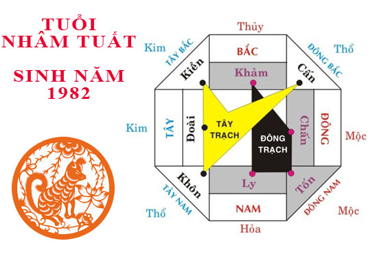Sinh năm 1982 Nhâm Tuất hợp hướng nào?