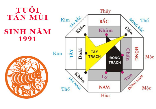 Sinh năm 1991 Tân Mùi hợp hướng nào?