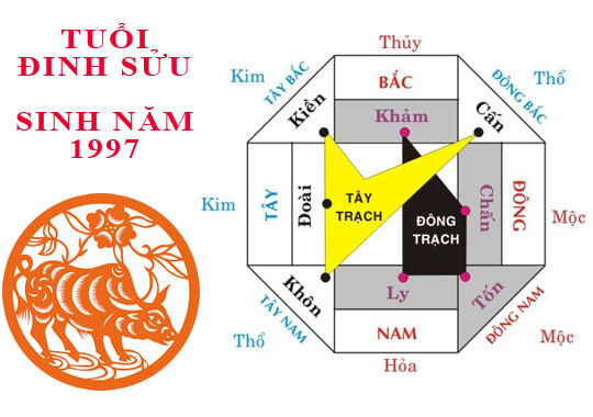 Sinh năm 1997 Đinh Sửu hợp hướng nào?