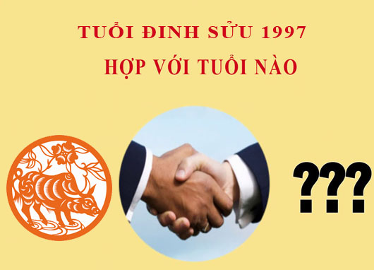 Sinh năm 1997 Đinh Sửu hợp với tuổi nào?