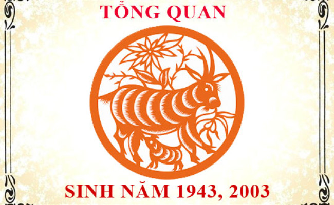 Sinh năm 2003 mệnh gì, tuổi gì và hợp màu gì?
