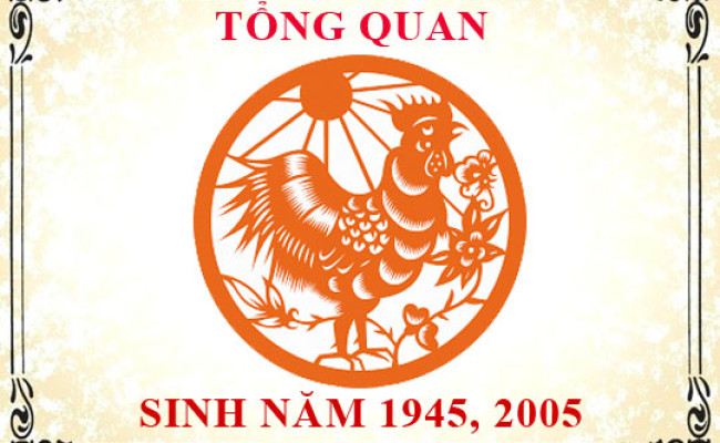 Sinh năm 2005 mệnh gì, tuổi gì và hợp màu gì?