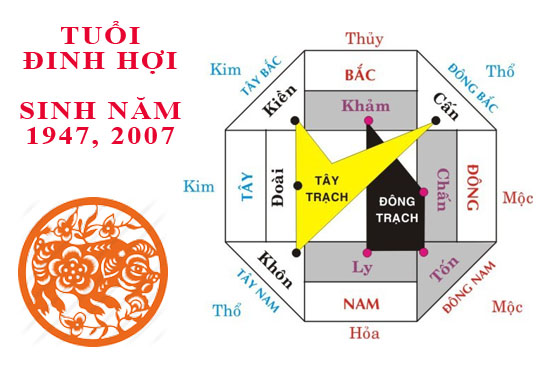 Sinh năm 2007 Đinh Hợi hợp hướng nào?