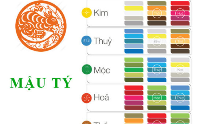 Sinh năm 2008 Mậu Tý hợp với màu gì? mua xe màu gì?