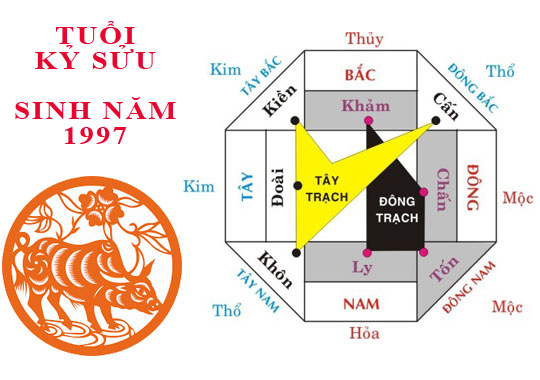 Sinh năm 2009 Kỷ Sửu hợp hướng nào?