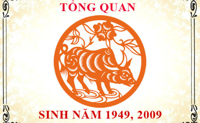 Sinh năm 2009 mệnh gì, tuổi gì và hợp màu gì?