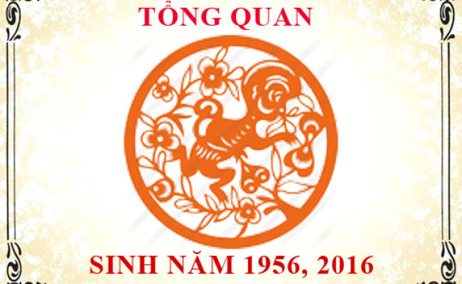 Sinh năm 2016 mệnh gì, tuổi gì và hợp màu gì?