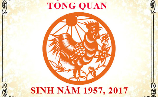 Sinh năm 2017 mệnh gì, tuổi gì và hợp màu gì?
