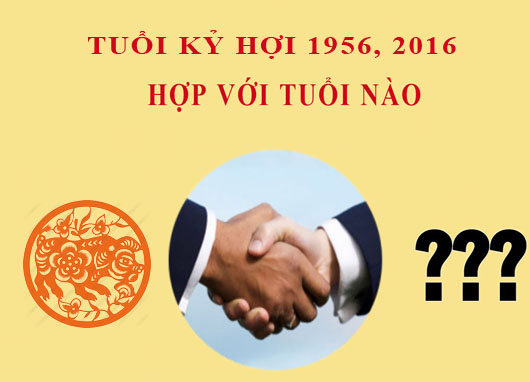 Sinh năm 2019 Kỷ Hợi hợp với tuổi nào?