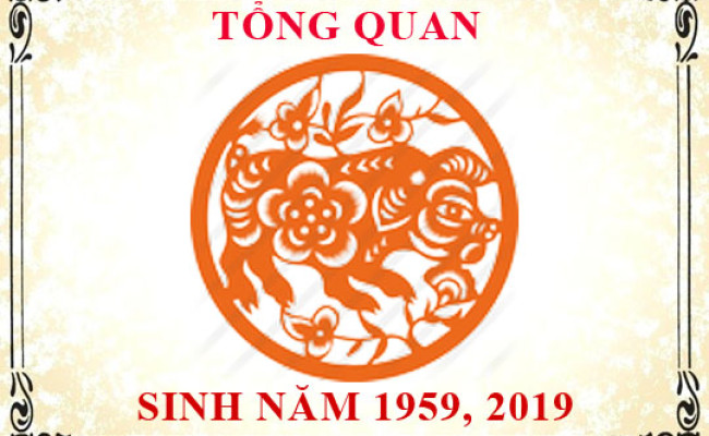 Sinh năm 2019 mệnh gì, tuổi gì và hợp màu gì?