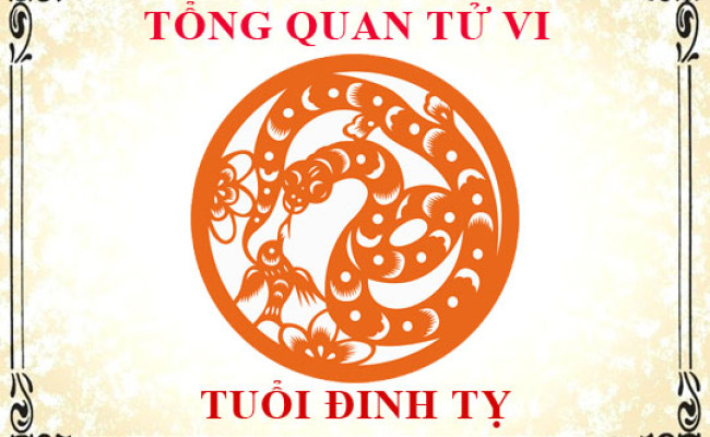 Tử vi tuổi Đinh Tỵ: Tổng quan về vận mệnh, tình yêu, sự nghiệp