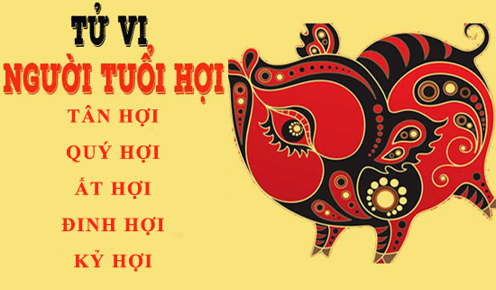 Tử vi tuổi Hợi: Tổng quan vận mệnh và cuộc đời