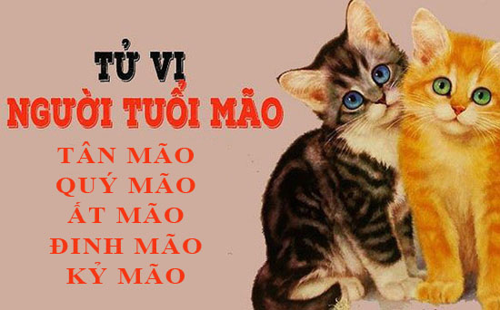 Tử vi tuổi Mão: Tổng quan vận mệnh và cuộc đời