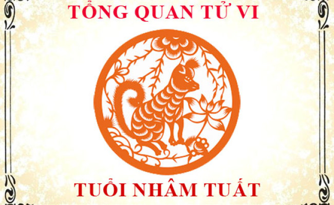 Tử vi tuổi Nhâm Tuất: Tổng quan về vận mệnh, tình yêu, sự nghiệp