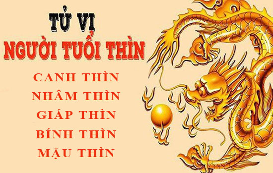 Tử vi tuổi Thìn: Tổng quan vận mệnh và cuộc đời