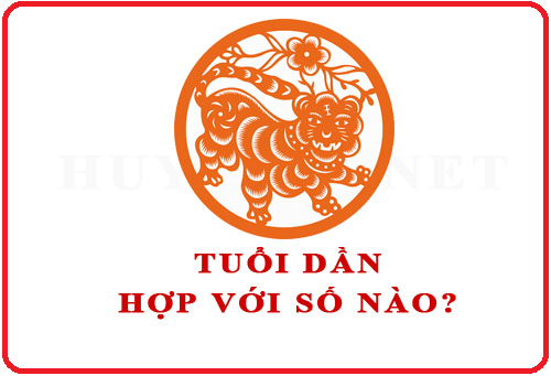 Tuổi Dần hợp với số nào theo phong thuỷ
