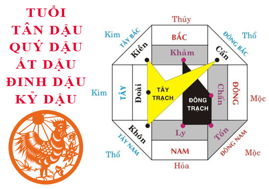 Tuổi Dậu hợp hướng nào?