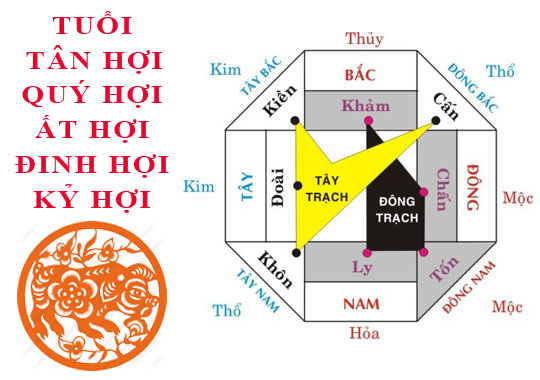 Tuổi Hợi hợp hướng nào?