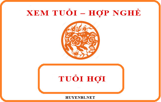 Tuổi Hợi hợp với nghề gì và hướng nào theo phong thủy