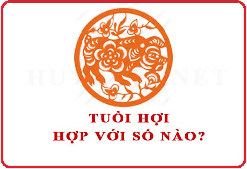 Tuổi Hợi hợp với số nào theo phong thuỷ